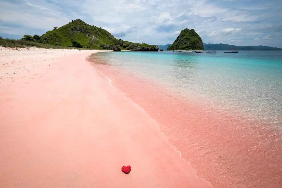 How To Visit The Pink Beaches In Komodo, Indonesia